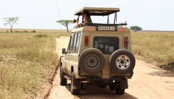 Unforgettable 7 Days Tanzania Safari
