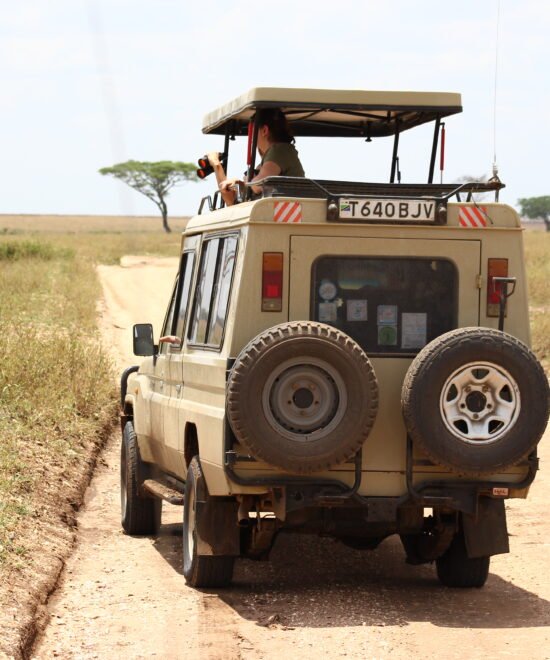Unforgettable 7 Days Tanzania Safari