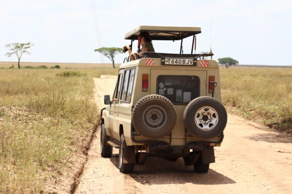 Unforgettable 7 Days Tanzania Safari