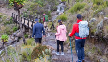 Kilimanjaro Marangu Route 5 Days