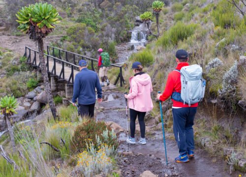 Kilimanjaro Marangu Route 5 Days