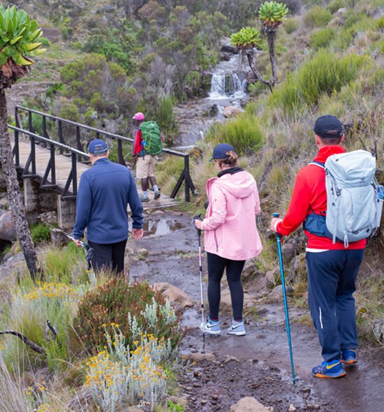 Kilimanjaro Marangu Route 5 Days