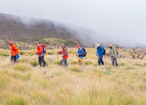 Kilimanjaro Marangu Route 6 Days