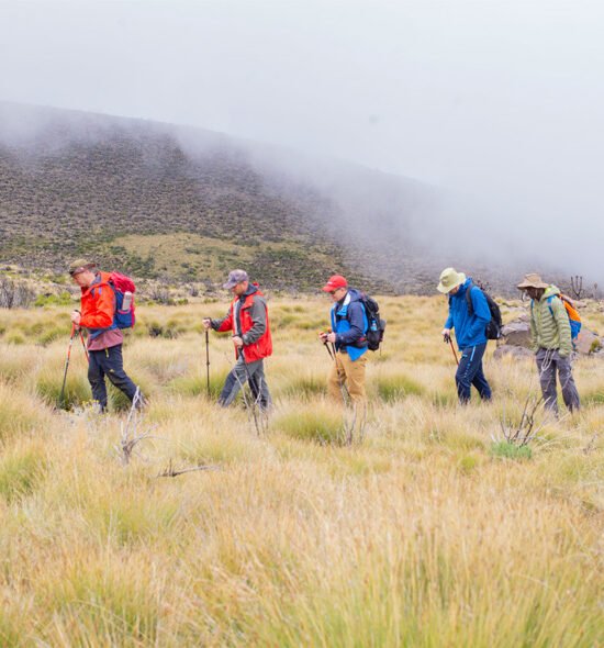 Kilimanjaro Marangu Route 6 Days