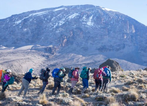 Mount Kilimanjaro