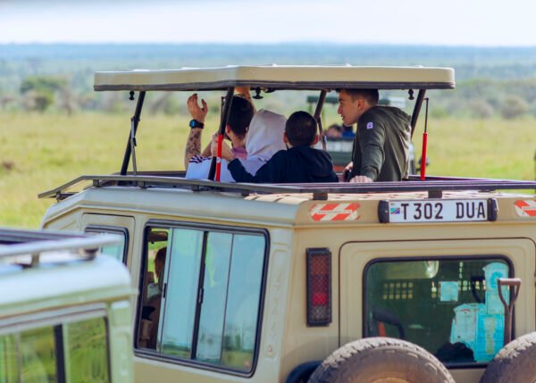 Tanzania Safari 6 Days