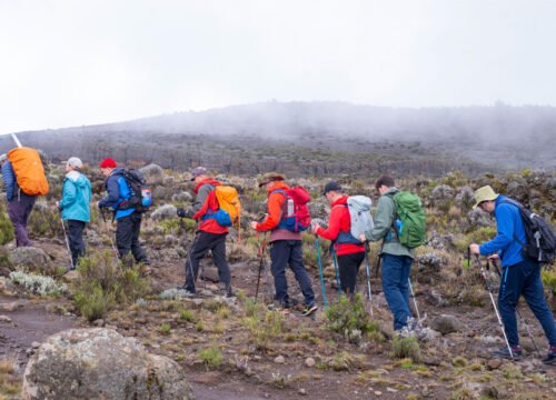 Kilimanjaro Rongai Route 6 Days