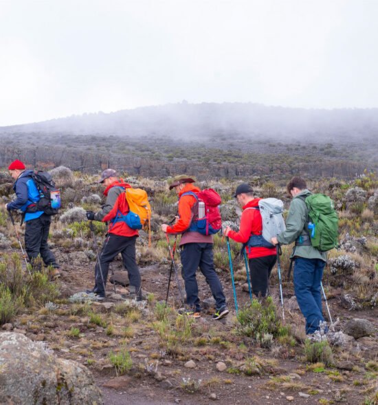 Kilimanjaro Rongai Route 6 Days