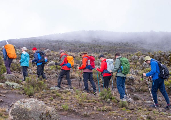 Kilimanjaro Rongai Route 6 Days