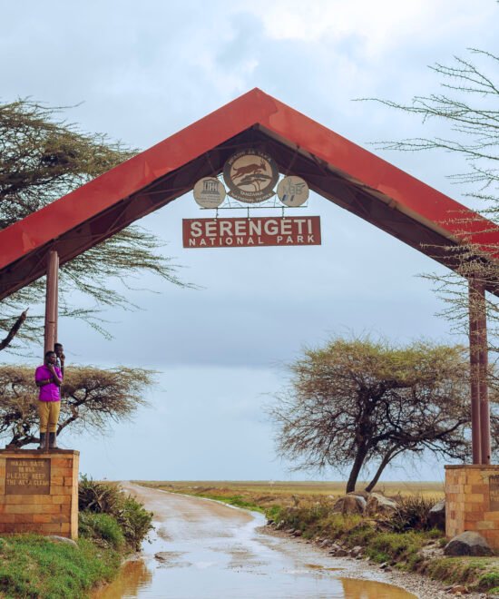 Tanzania Safari 5 Days