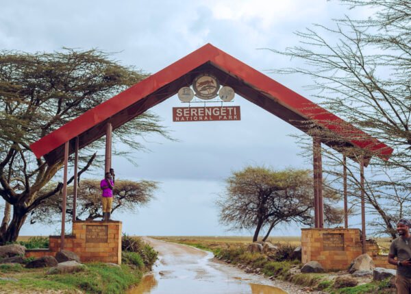 Tanzania Safari 5 Days