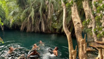 Kikuletwa Hot Spring Day Tour