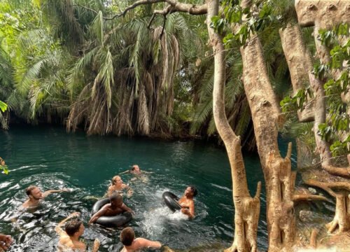 Kikuletwa Hot Spring Day Tour