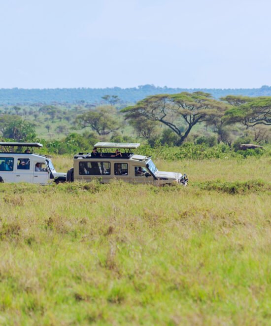Tanzania Safari 2 Days