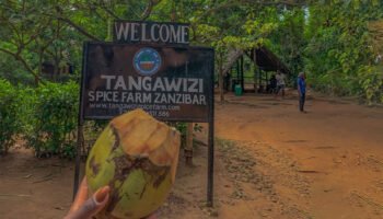 5 Days Zanzibar Spice Island Tour