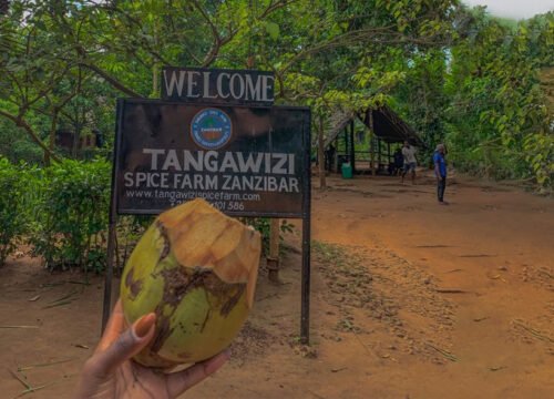 5 Days Zanzibar Spice Island Tour